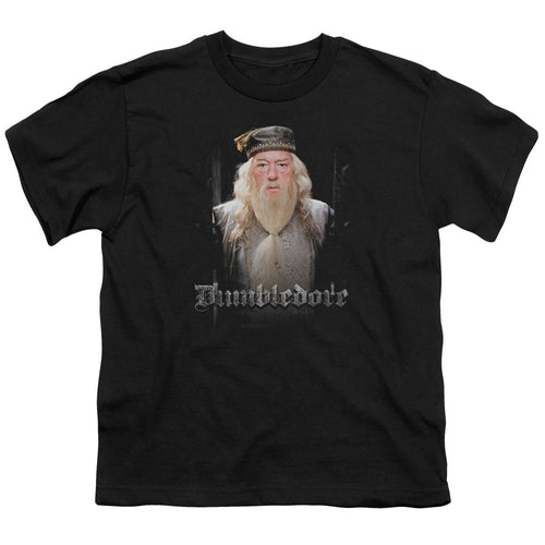 Harry Potter Dumble Doors Youth/Toddler T-Shirt