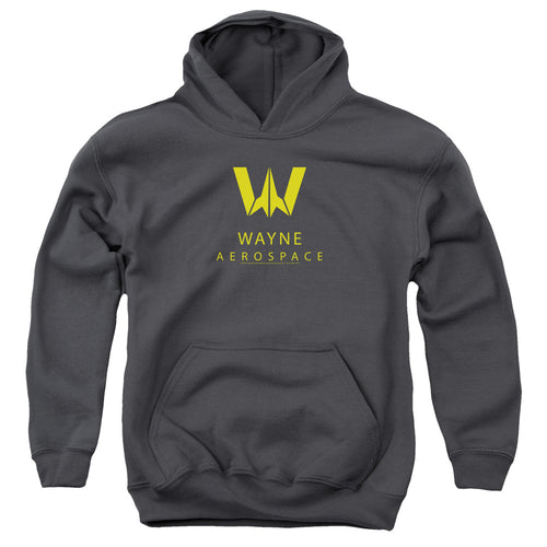 DC Comics Wayne Aerospace Youth Hoodie