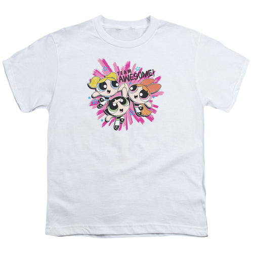The Powerpuff Girls Team Awesome Youth/Toddler T-Shirt