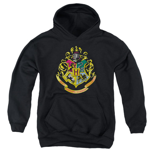 Harry Potter Hogwarts School Crest Youth Hoodie