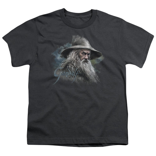 The Hobbit Gandalf the Grey Youth/Toddler T-Shirt
