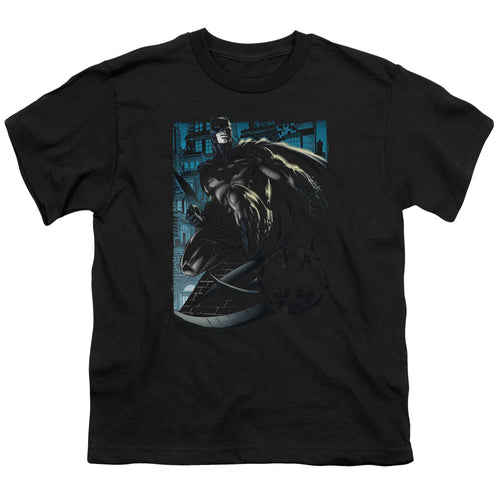 Batman Knight Falls In Gotham Youth/Toddler T-Shirt
