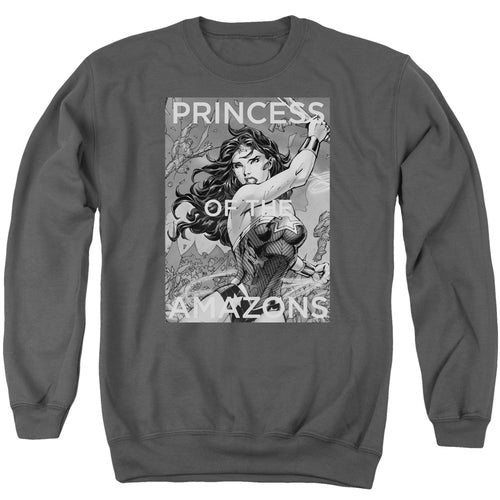 DC Comics Princess Of The Amazons Crewneck Sweatshirt