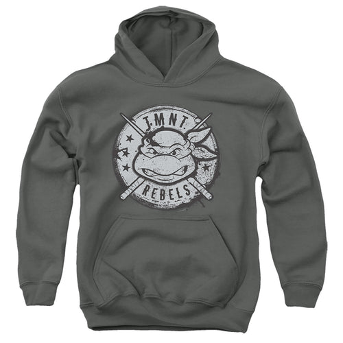 Teenage Mutant Ninja Turtles Rebels Distressed Logo Youth Hoodie