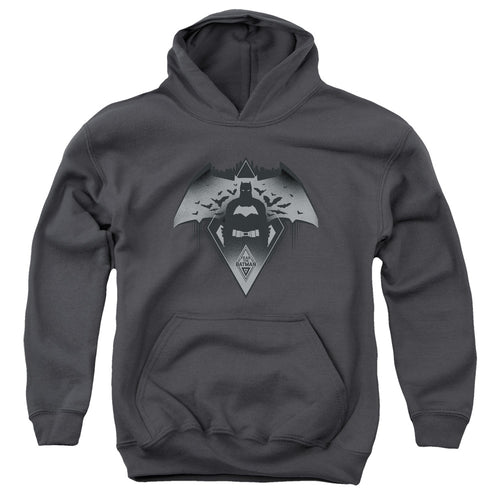 Batman v Superman Fear Youth Hoodie
