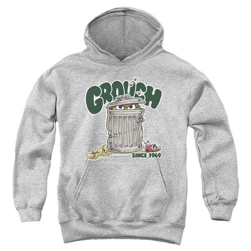 Sesame Street Grouch Youth Hoodie