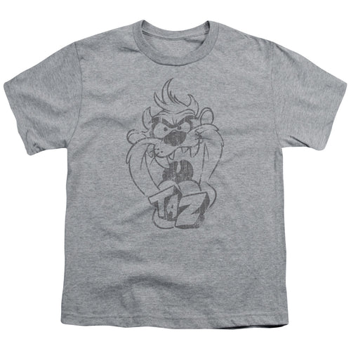 Looney Tunes Faded Taz Youth/Toddler T-Shirt