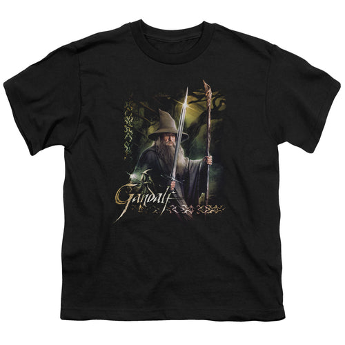 The Hobbit Sword and Staff Youth/Toddler T-Shirt