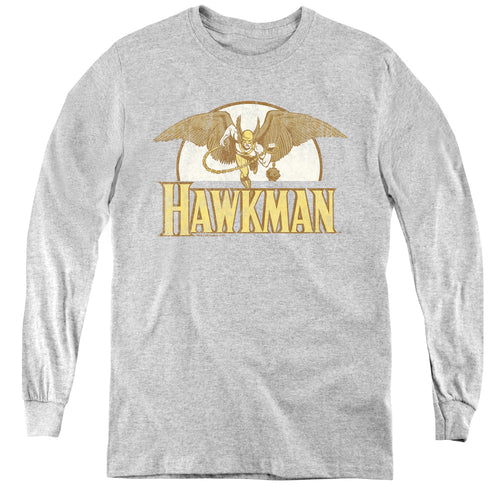 DC Comics Fly By Youth Long Sleeve T-Shirt