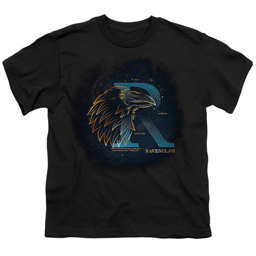 Harry Potter Celestial Nomad Ravenclaw Youth/Toddler T-Shirt