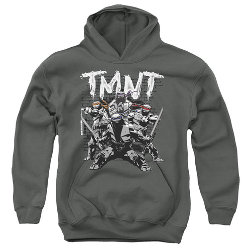 Teenage Mutant Ninja Turtles Team Youth Hoodie