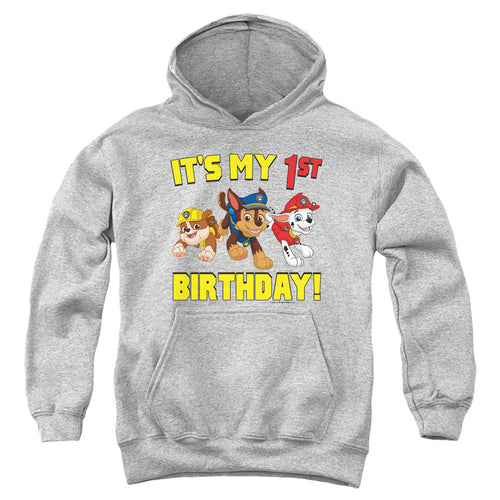 Paw Patrol Group Happy Birthday Youth Hoodie