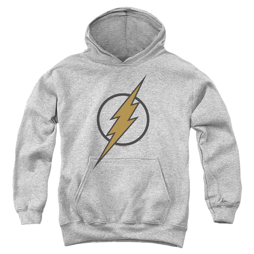 DC Comics Flash Muted Color Bolt Youth Hoodie