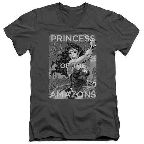 DC Comics Princess Of The Amazons V-Neck T-Shirt