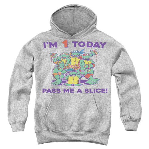 Teenage Mutant Ninja Turtles Pizza Birthday Youth Hoodie