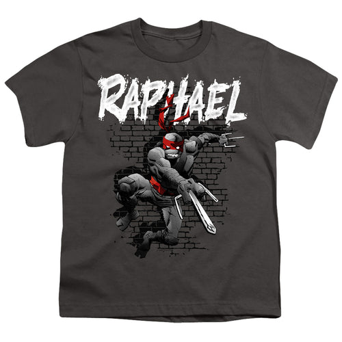 Teenage Mutant Ninja Turtles Raphael Youth/Toddler T-Shirt