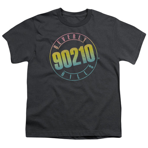 Beverly Hills 90210 Color Blend Logo Youth/Toddler T-Shirt