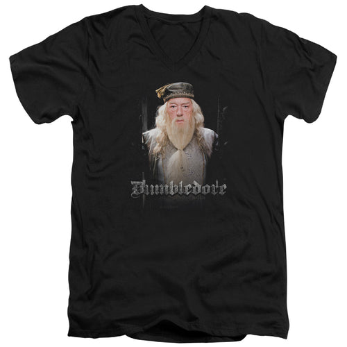 Harry Potter Dumble Doors V-Neck T-Shirt