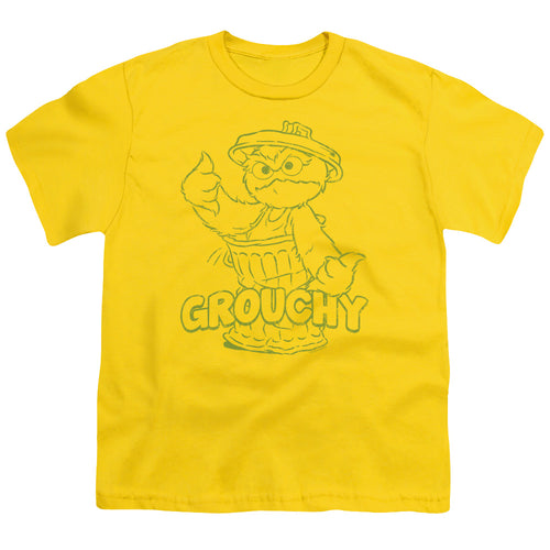 Sesame Street Grouchy Youth/Toddler T-Shirt