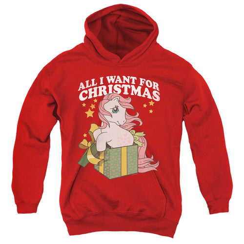 My Little Pony All I Want Youth Hoodie