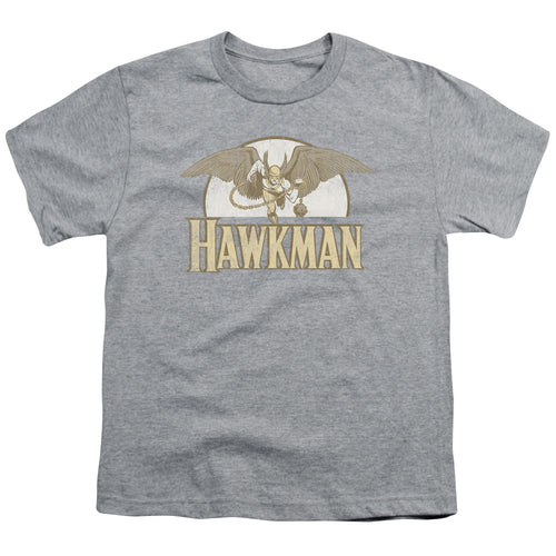 DC Comics Fly By Youth/Toddler T-Shirt