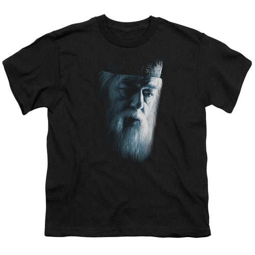 Harry Potter Dumbledore Face Youth/Toddler T-Shirt