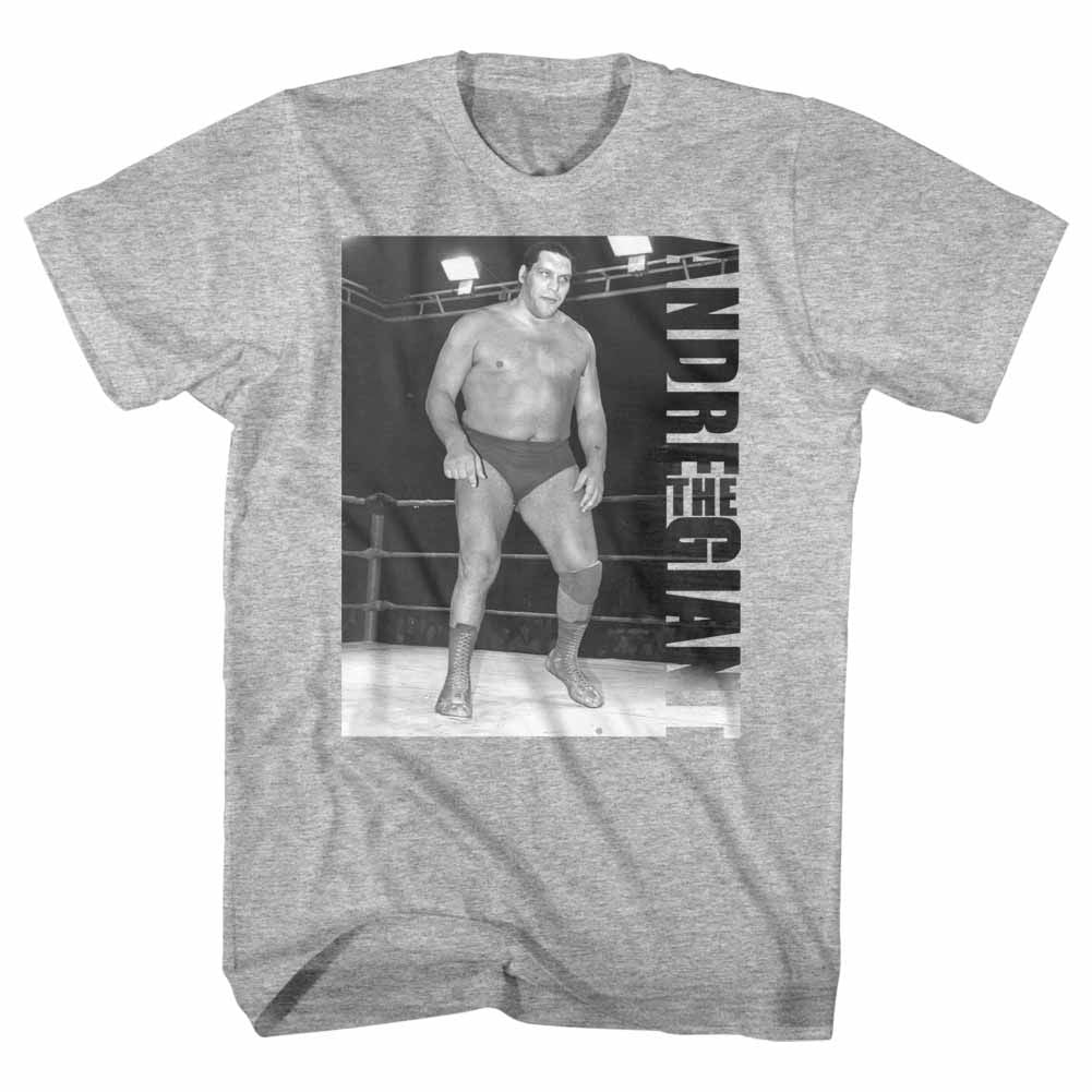 Andre the Giant t-shirt available in big and tall sizes
