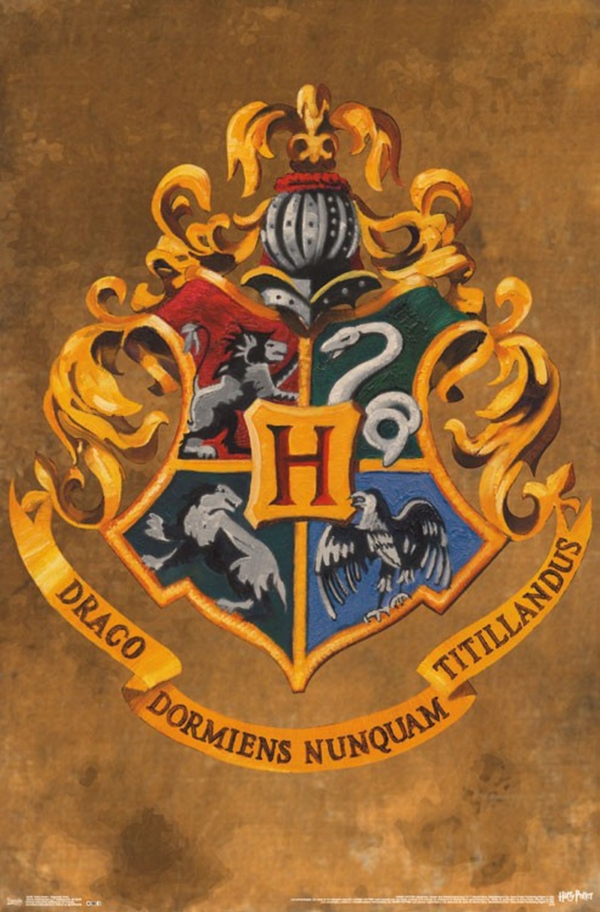 It’s Levi-OH-sa Not Levio-SA: Looking at Harry Potter and the Philosopher’s Stone