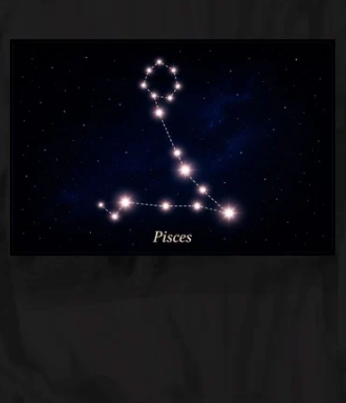 Zodiac T-Shirts