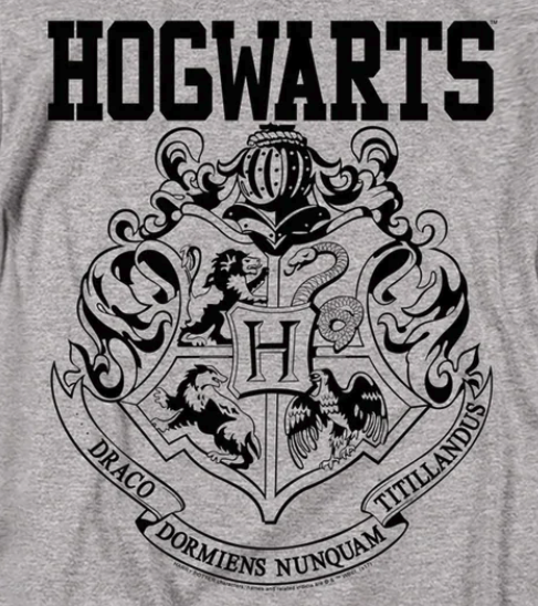 Harry Potter T-Shirts
