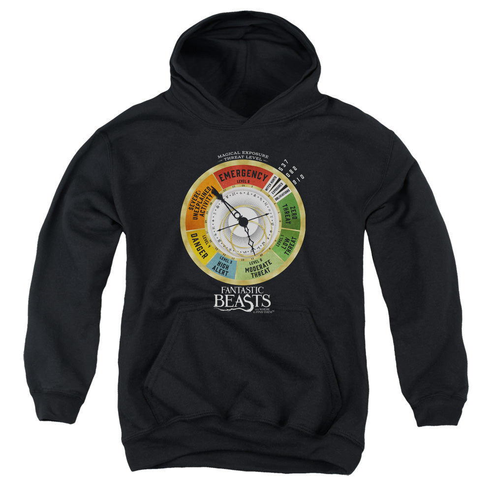Fantastic Beasts Threat Gauge Youth Hoodie