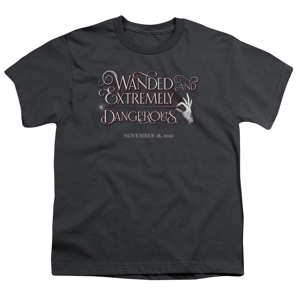 Fantastic Beasts Wanded Youth/Toddler T-Shirt