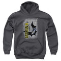 Batman Swing Into Action Youth Hoodie