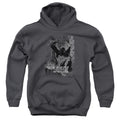 Batman The Knight Life Youth Hoodie