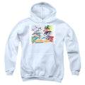 Justice League Evildoers Beware Youth Hoodie