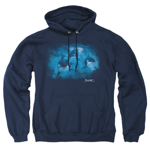 Wild Wings Pod of Orcas Pullover Hoodie