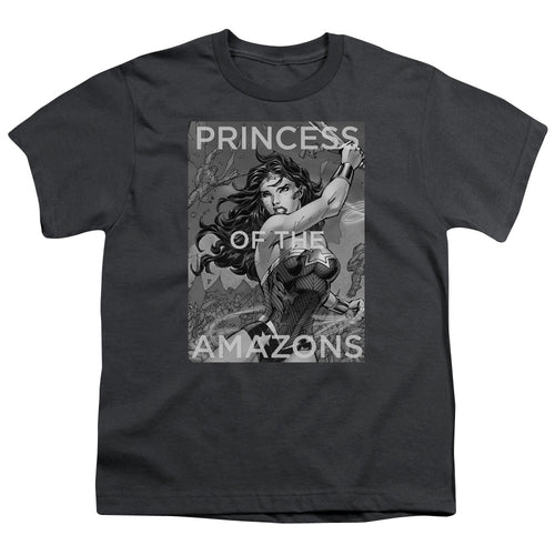 DC Comics Princess Of The Amazons Youth/Toddler T-Shirt