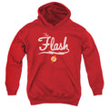 Justice League Old School Flash Youth Hoodie