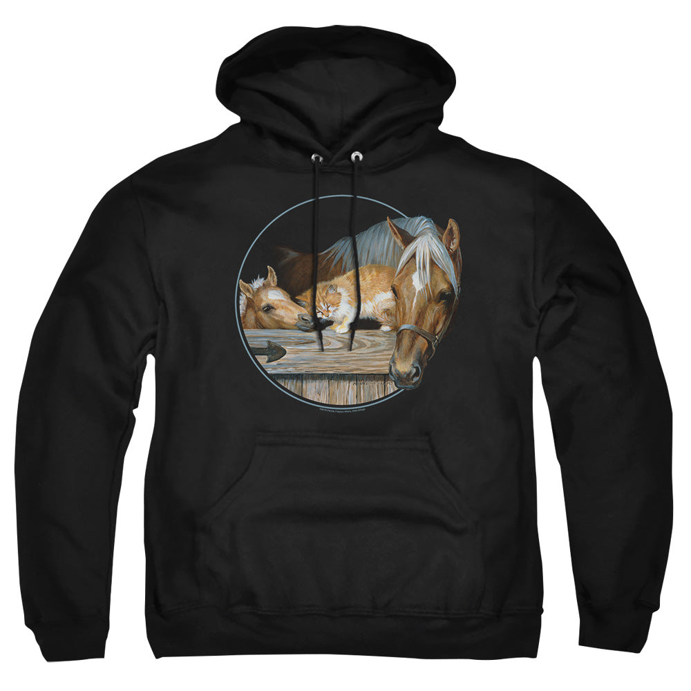 Wild Wings Everyone Loves Kitty Pullover Hoodie