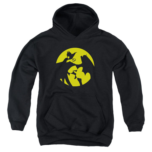 DC Comics Batman Spotlight Youth Hoodie