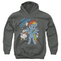 My Little Pony: Friendship Is Magic 20 Percent Cooler Youth Hoodie