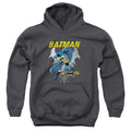 Batman Urban Gothic Youth Hoodie