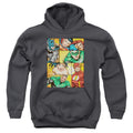 Justice League Hero Boxes Youth Hoodie