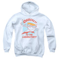 Dexter's Laboratory Quickly Youth Hoodie