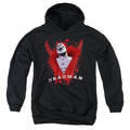 Justice League Possession Youth Hoodie