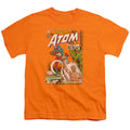 Justice League Showcase #34 Cover Youth/Toddler T-Shirt