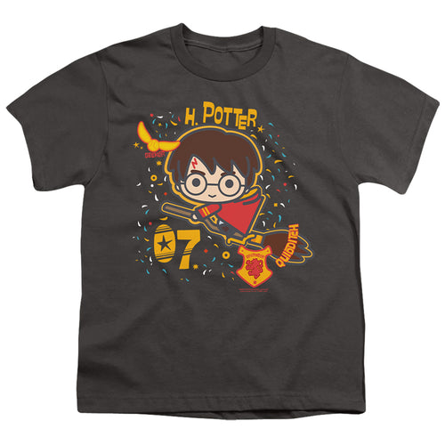 Harry Potter 07 Quidditch Chibi Youth/Toddler T-Shirt