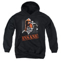 Batman Insane Youth Hoodie