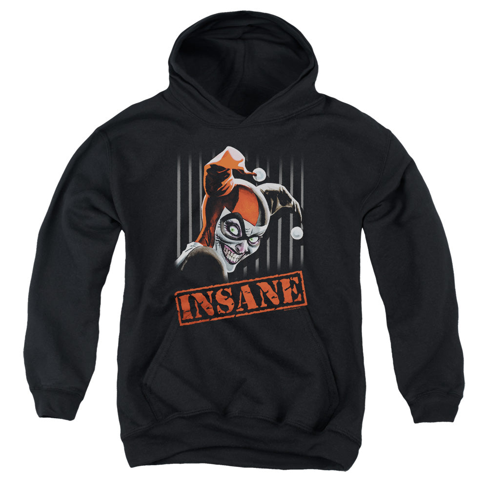 Batman Insane Youth Hoodie