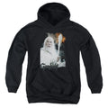 Lord of the Rings Gandalf Youth Hoodie